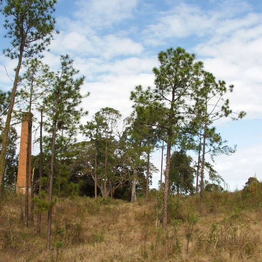 Central Sugar Mill Ruins