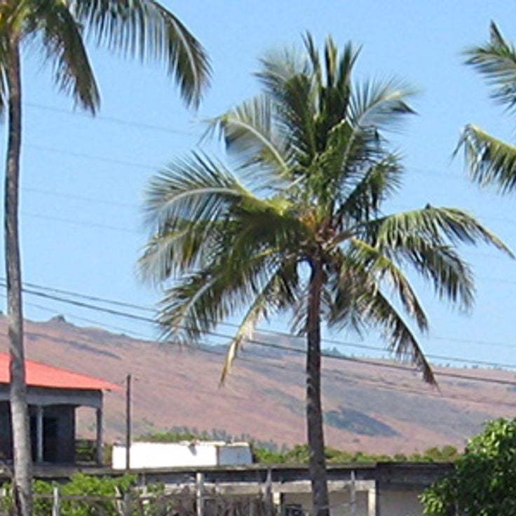 Rumah Kehidupan