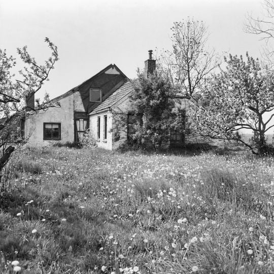 Zuiderhorn 29, Warffum