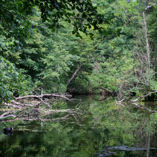 Altarme der Ammer in der Unterhauser Au N von Weilheim