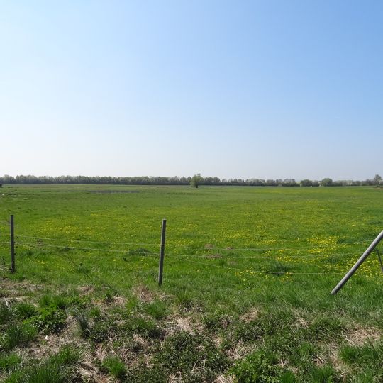 Naturschutzgebiet Kist von Berstadt
