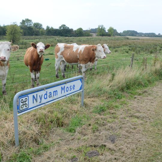 Nydam Mose