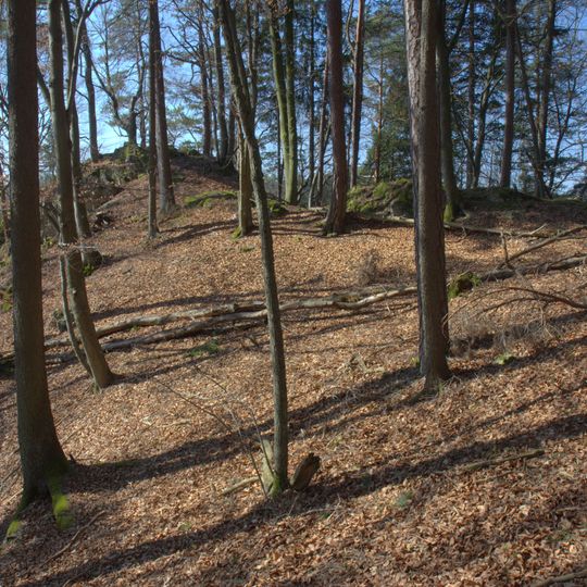 Burgstall Vestenberg