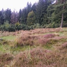 Vřesoviště Bílová