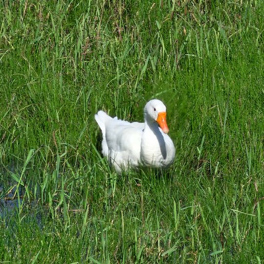 Ferme Pédagogique Ma Petite Madelaine