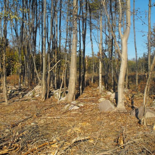 Roden Skov Langdysse SB 14