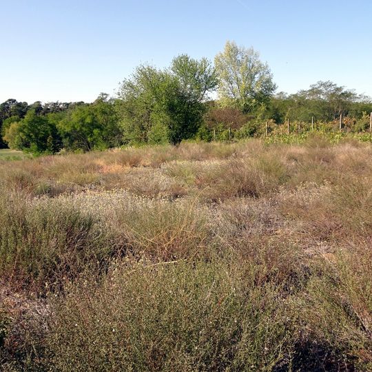Oberste und unterste Röder nördlich Seeheim