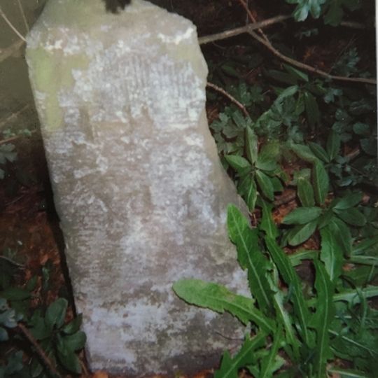 Milestone, Biddenden Road, E of pond