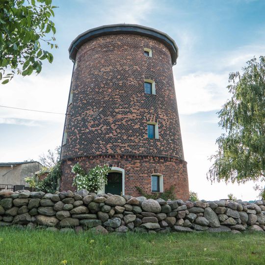 Turmholländer Großtreben