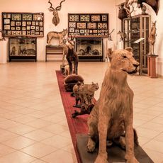Museo missionario cinese e di storia naturale