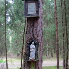 Obrázek severozápadně od České Doubravice