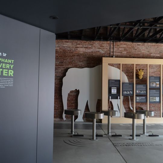 The Elephant Sanctuary