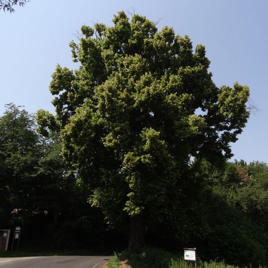 Sousoší svaté Anny a Panny Marie