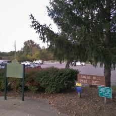 Swede Hill Park