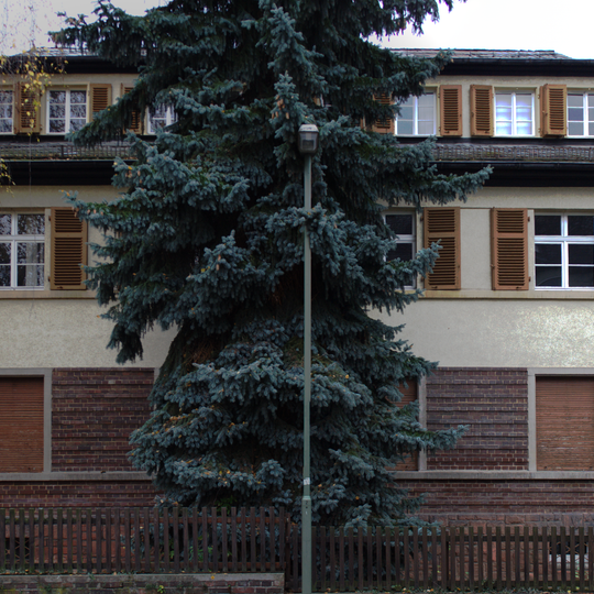 Haus Iheringstraße 6