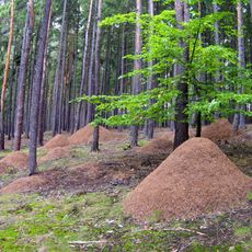 Přírodní park Hřešihlavská
