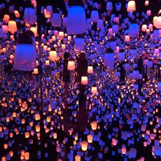 Mori Building Digital Art Museum: EPSON teamLab Borderless