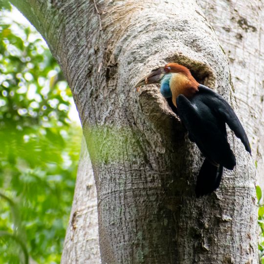 Parco nazionale di Laiwangi Wanggameti