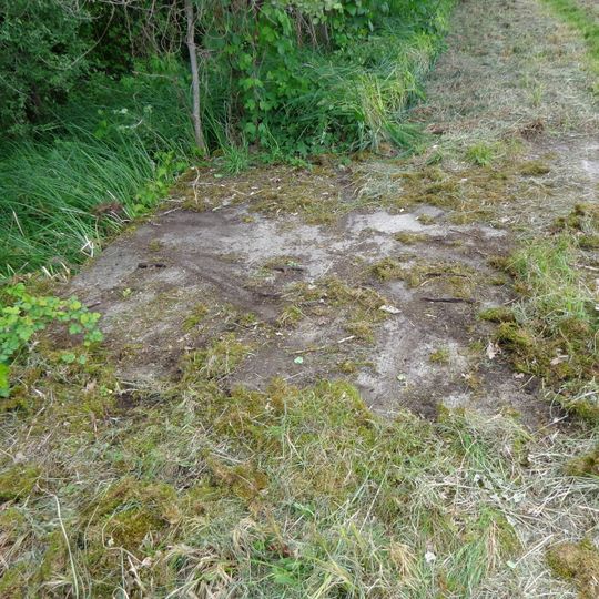 Kleizuwe te 's-Graveland