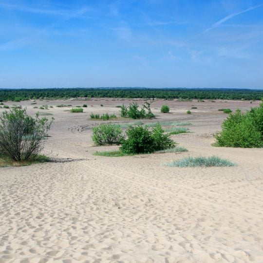 Błędów Desert