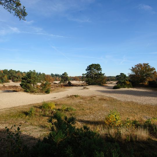 Soesterduinen dunes