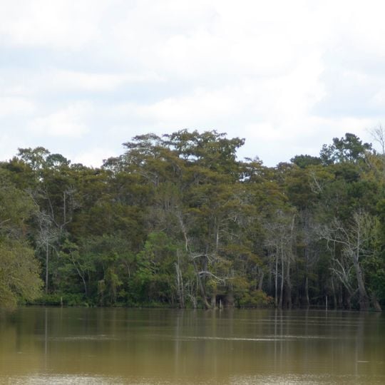 Neches River