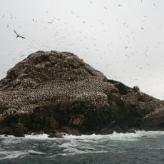 Réserve naturelle nationale des Sept Îles