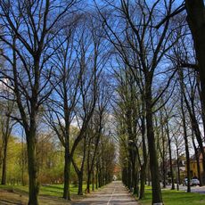 Avenue greenery complex in Gliwice