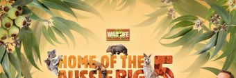 Wild Life Sydney Profile Cover
