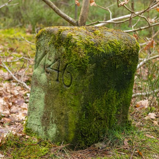 Grenzstein Fürther Stadtwald in Fürth