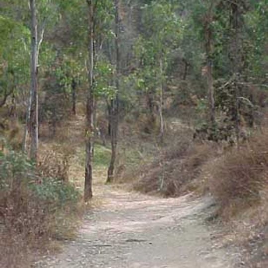 Cerro de la Estrella