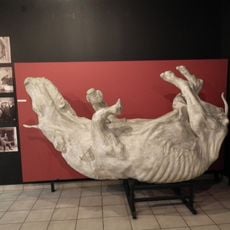 Muzeum Przyrodnicze Instytutu Systematyki i Ewolucji Zwierząt PAN