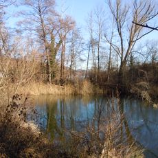 West- und Nordufer Baggersee Kirchentellinsfurt