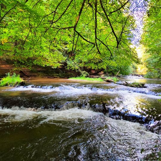 Rezerwat Nad Tanwią