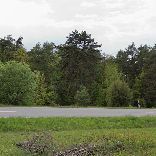 Heide an der Kaiserstraße