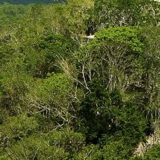Calakmul Biosphere Reserve