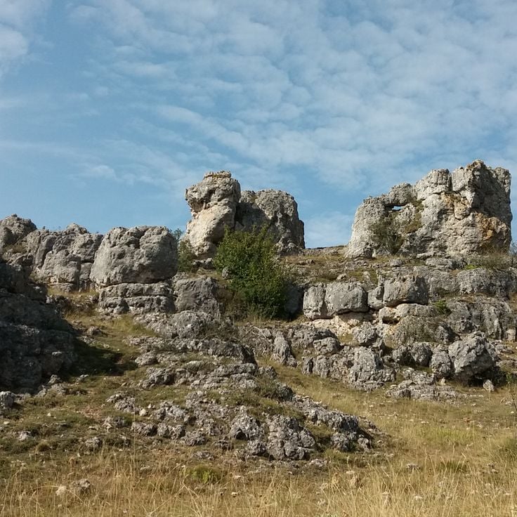 Causse Méjean