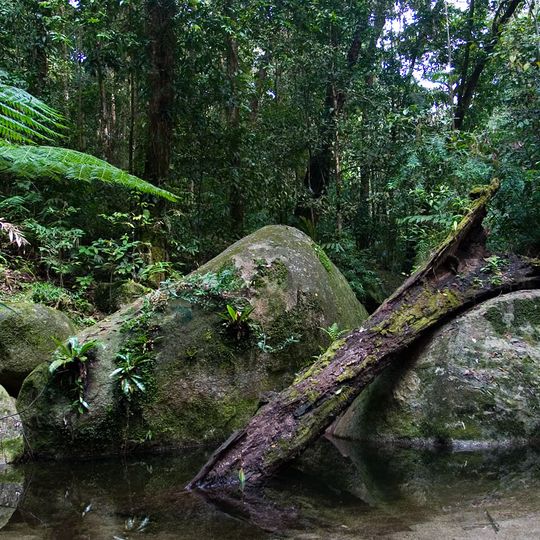 Daintree-Nationalpark