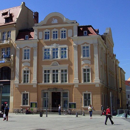 Musée d'histoire naturelle de Görlitz