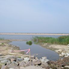 Rezerwat przyrody Mewia Łacha