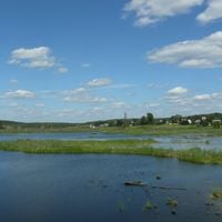 Щиглево (Жуковський район)