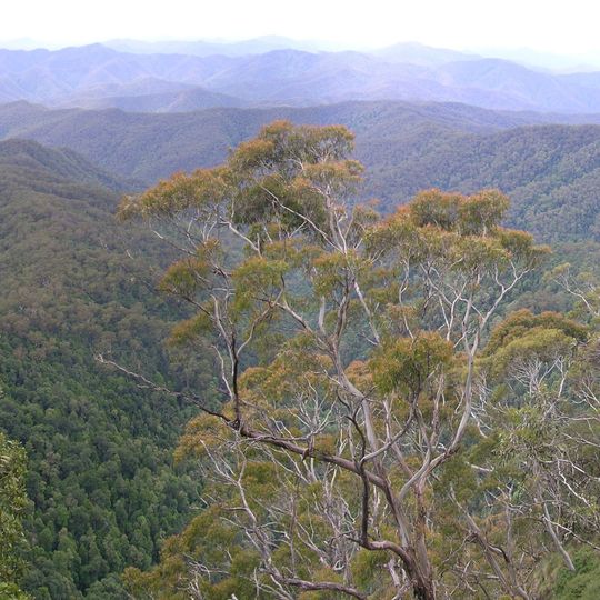 New England National Park