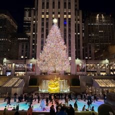 The Rink At Rockefeller Center