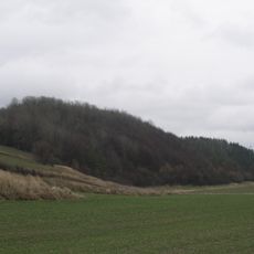 Broczówka nature reserve