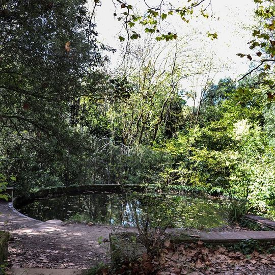 Bassa de Ca l'Argent