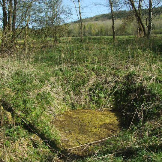 Minerální pramen Tereza