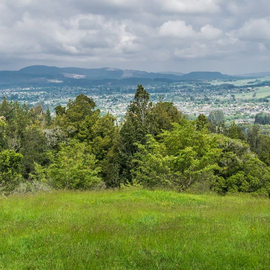 Mount Ngongotaha Reserve