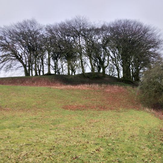 Lemonstown Motte