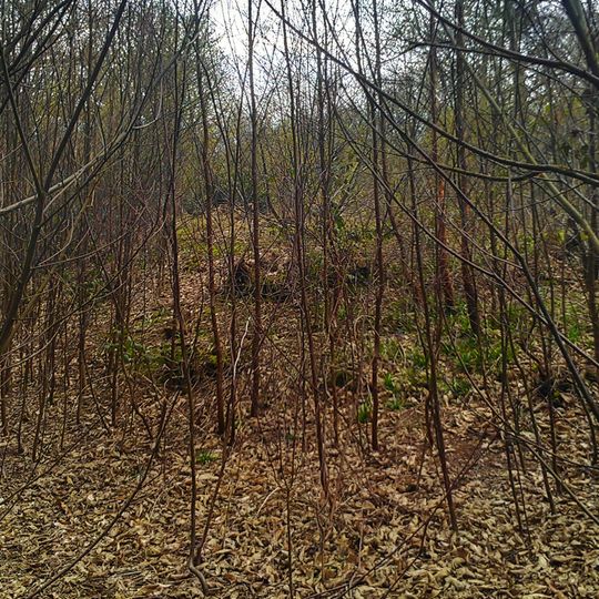 Shrub's Wood Long Barrow