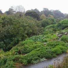 Jardin botanique de Ventnor